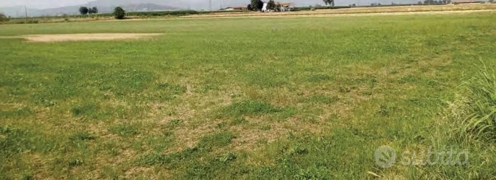 Immobile in asta di 5000 m² a Saluzzo - Vista 2