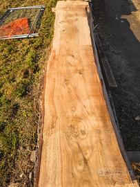 cedro del libano 80 cm x 4 m spessore 10cm