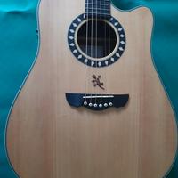 chitarra acustica elettrificata