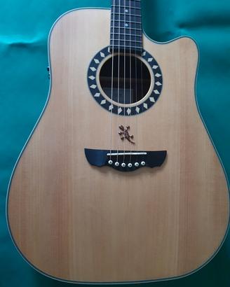 chitarra acustica elettrificata