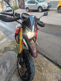 Dorsoduro 750