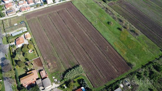 Terreno agricolo 2 ha ca. | TR318