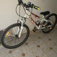 bici 24" bianchi forza duel