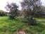 Immagine 14