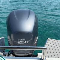 Asso 25 it con yamaha 250 4t