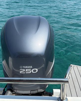 Asso 25 it con yamaha 250 4t