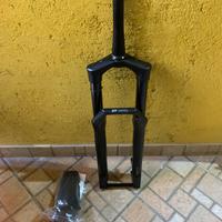 Forcella dt swiss 29