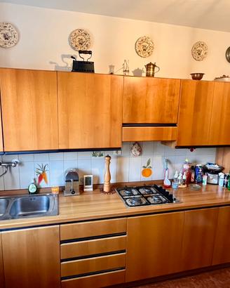 Cucina lineare con elettrodomestici