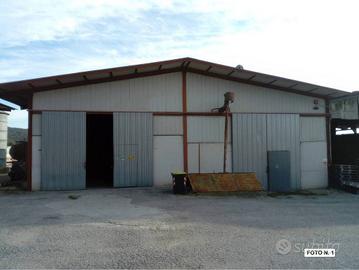 Immobile in asta di 11410 m² con più di 5 locali a