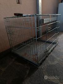 Kennel