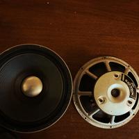 Altoparlanti peavey black widow 8 ohm