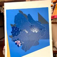 SERIGRAFIE , LITOGRAFIE stampeantiche,acqueforti..