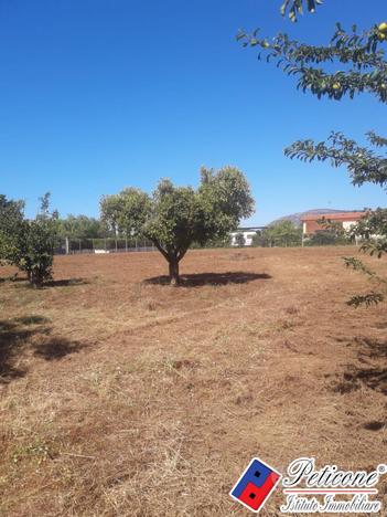 Terreno agricolo - Fondi