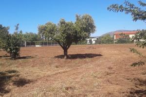 Terreno agricolo - Fondi