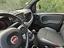 Immagine 6