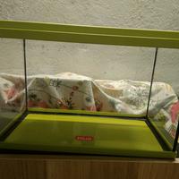 Acquario marca zolux 18 litri con accessorio bolle