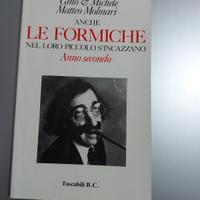 Anche le formiche nel loro piccolo si incazzano