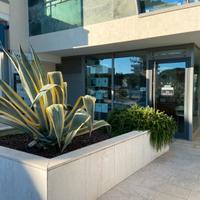 Ufficio zona Darsena Lignano