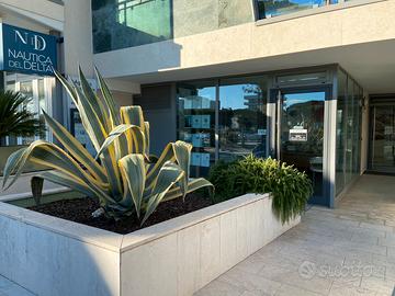 Ufficio zona Darsena Lignano