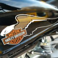 Harley Davidson Softail Blackline 2011