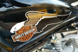 Harley Davidson Softail Blackline 2011