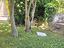 Immagine 26
