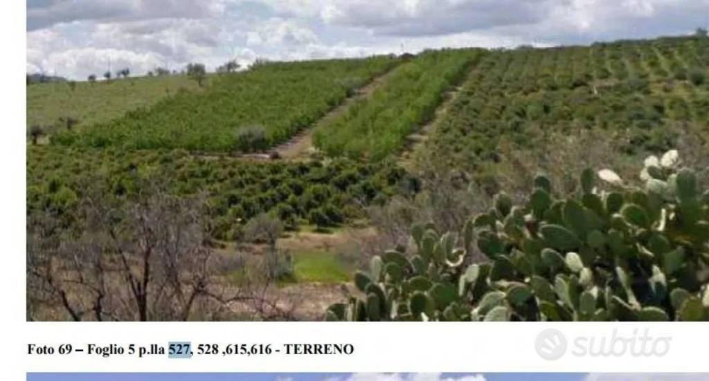 Immobile in asta di 18571 m² a Centuripe - Vista 2