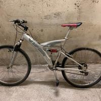 bicicletta da adulto e ragazzo