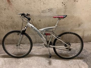 bicicletta da adulto e ragazzo