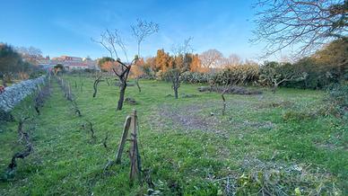 Terreno edificabile 3.300 m² con fabbricato