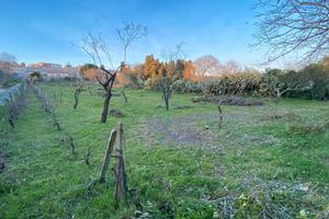 Terreno edificabile 3.300 m² con fabbricato