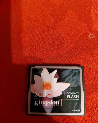 scheda memoria KINGSTON