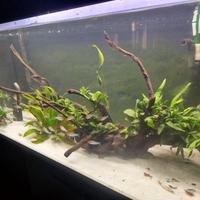 Acquario 300 LT completo
