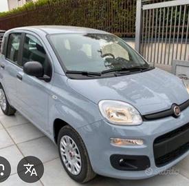 Panda 1.2 benzina / GPL