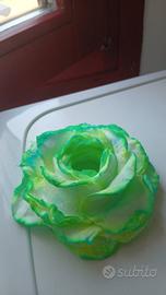 rose di tutti i colori