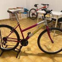 Mountain Bike Vintage