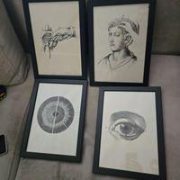 4 quadri Medico Dentista Oculista