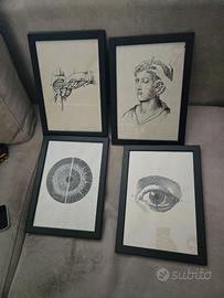 4 quadri Medico Dentista Oculista