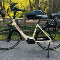 Bicicletta elettrica GAZELLE SWITCH