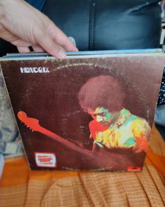 Vari LP (Hendrix, Jello Biafra, The Doors, Lennon)