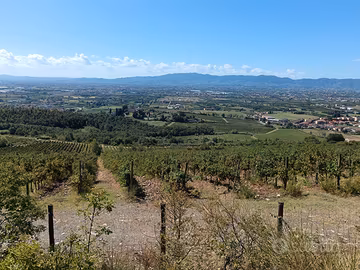 terreno santomato