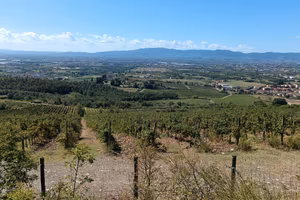terreno santomato