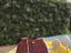 Immagine 1