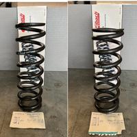 molle mono e forcella showa e WP