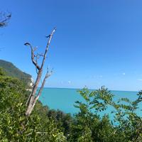 Impiegata / segretaria personale