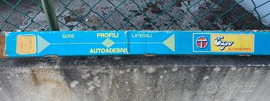 Profili paracolpi Talbot Samba 