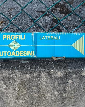 Profili paracolpi Talbot Samba 