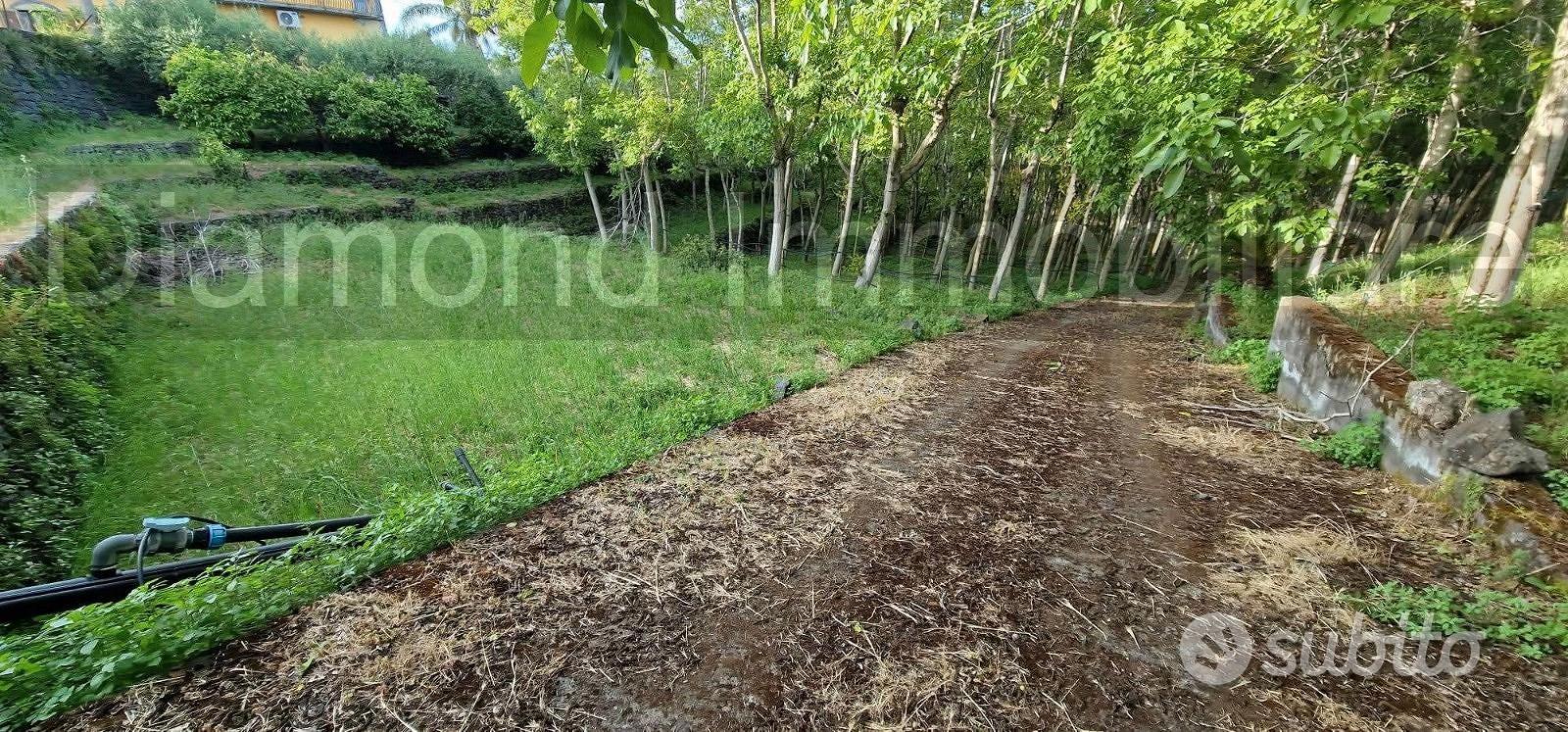 Fabbricato con terreno a Piedimonte Etneo - Vista 5