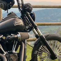 Harley Davidson Street bob 103