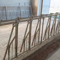 Autocatturante mangiatoia ovini e caprini